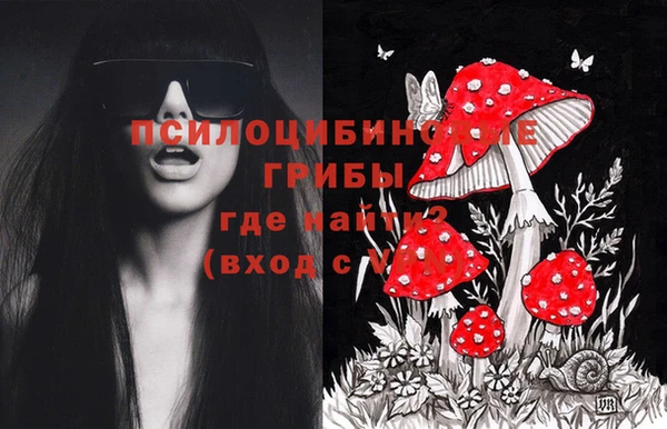 дживик Каменногорск