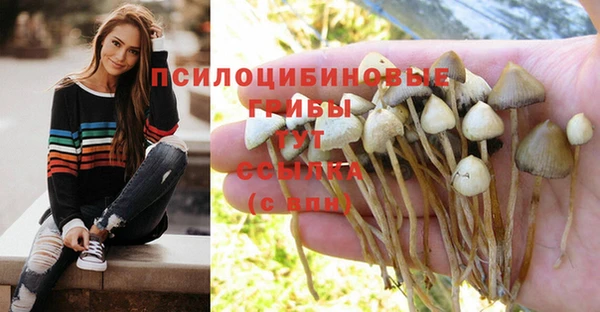 круглые Карпинск