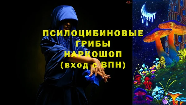 крисы Касимов