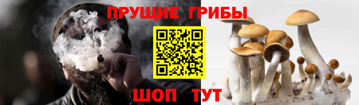 Ишим  Псилоцибиновые грибы ЛСД  Вход с VPN  Галлюциногенные грибы Magic Shrooms 